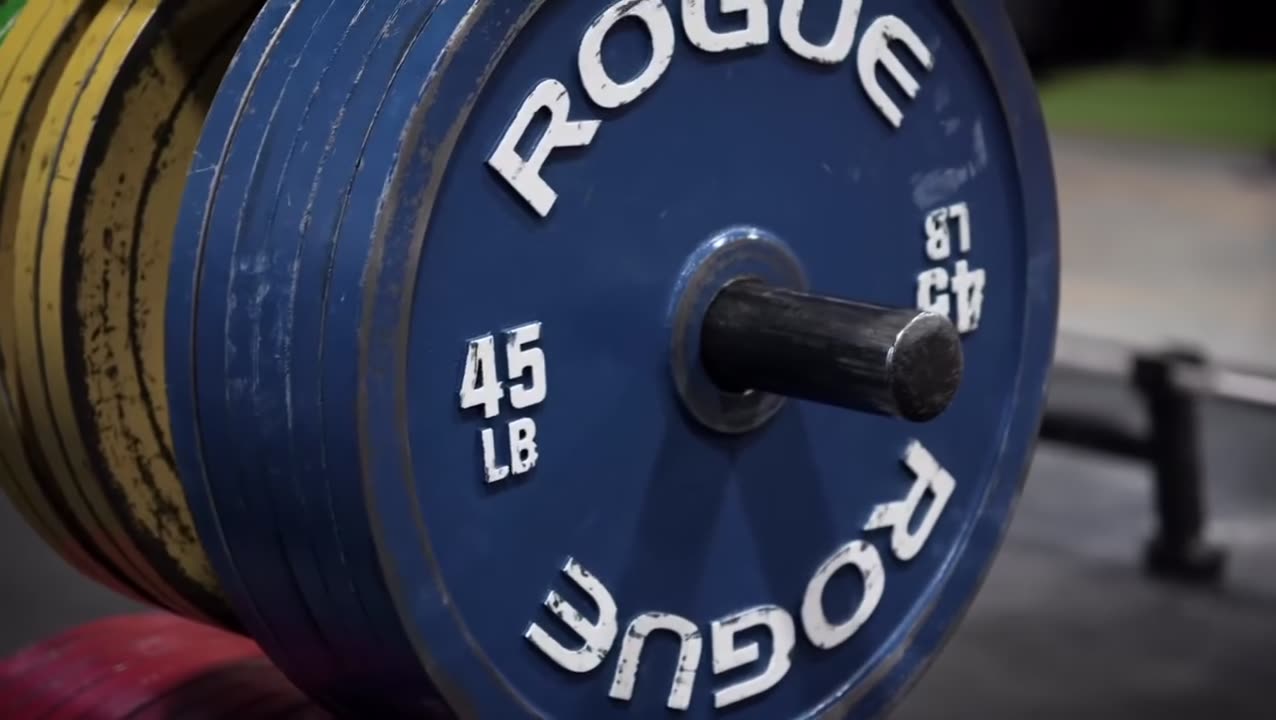 Rogue competition bumper plates loaded on a bar on the equipment floor of The Forge Gym.